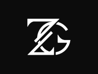 Z Group  Logo Flash Property